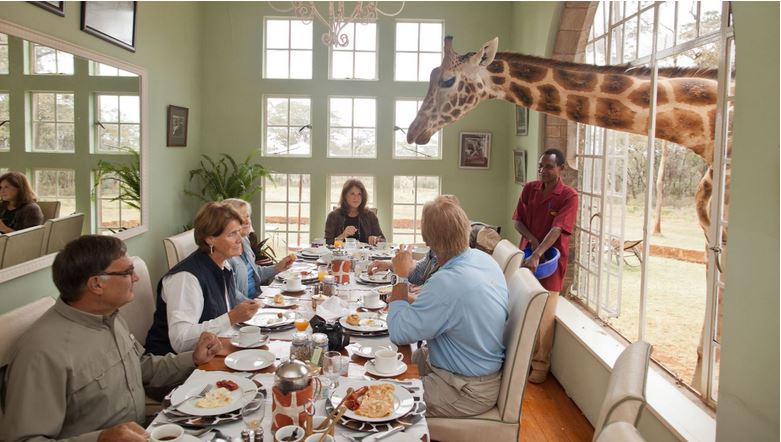 Giraffe Manor