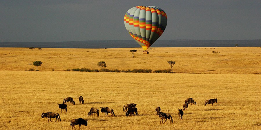 3 Days Masai Mara (Air & Road)