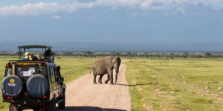 3 Days Nairobi - Masai- Mara - Group - Safari